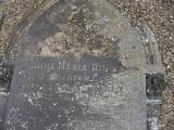 image of grave number 57859